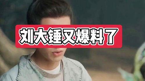 刘大锤爆料娱乐圈小说,娱乐圈幕后风云录 第2张 刘大锤爆料娱乐圈小说,娱乐圈幕后风云录 第2张